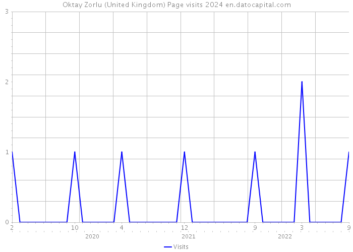 Oktay Zorlu (United Kingdom) Page visits 2024 