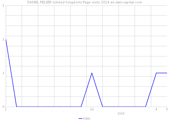 DANIEL PELSER (United Kingdom) Page visits 2024 