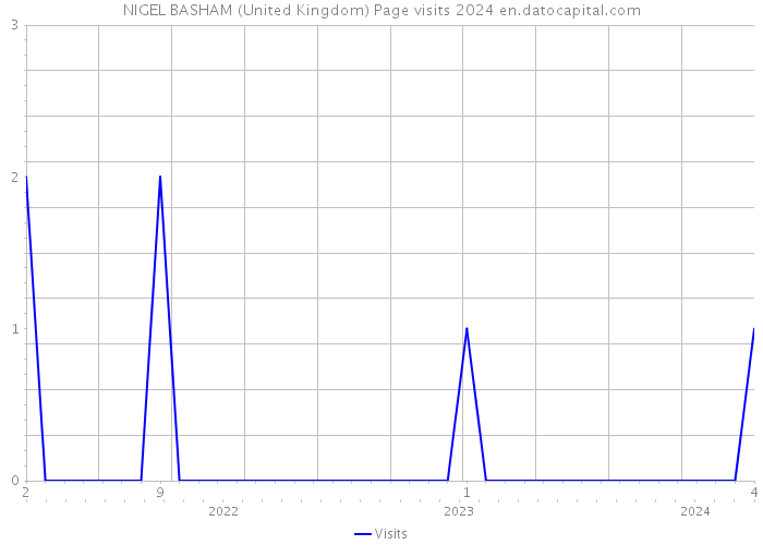 NIGEL BASHAM (United Kingdom) Page visits 2024 