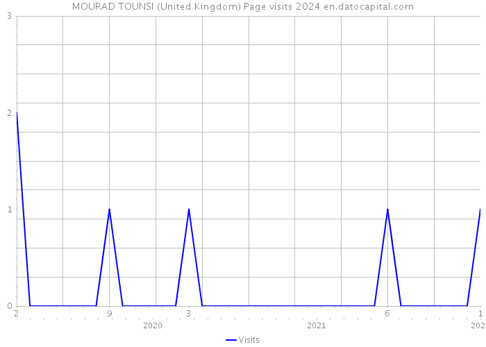 MOURAD TOUNSI (United Kingdom) Page visits 2024 