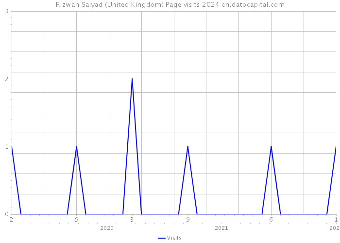 Rizwan Saiyad (United Kingdom) Page visits 2024 