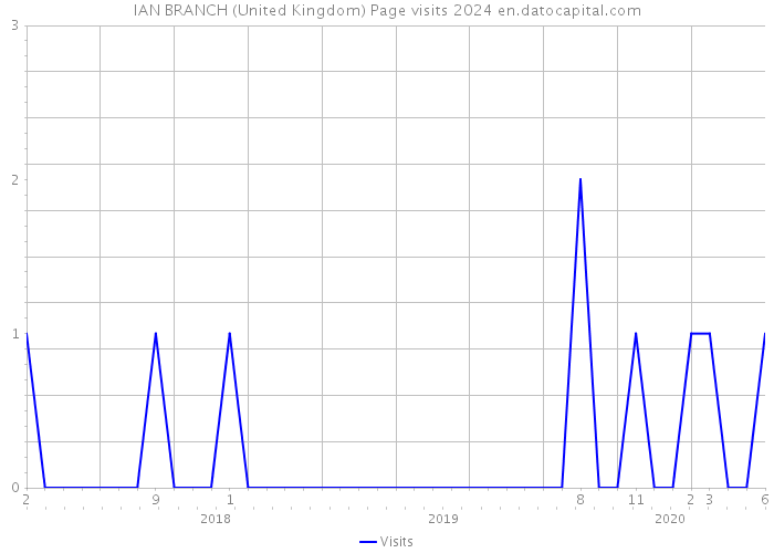 IAN BRANCH (United Kingdom) Page visits 2024 