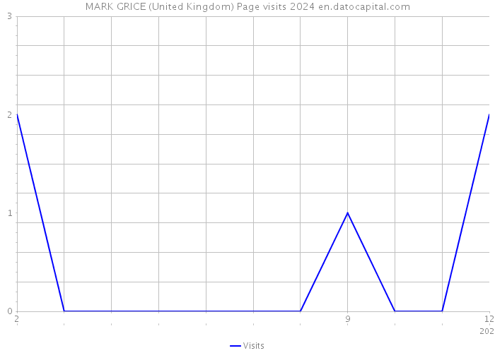 MARK GRICE (United Kingdom) Page visits 2024 