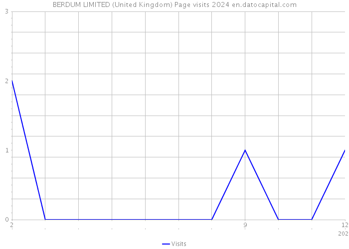 BERDUM LIMITED (United Kingdom) Page visits 2024 