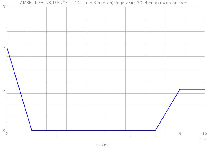 AMBER LIFE INSURANCE LTD (United Kingdom) Page visits 2024 