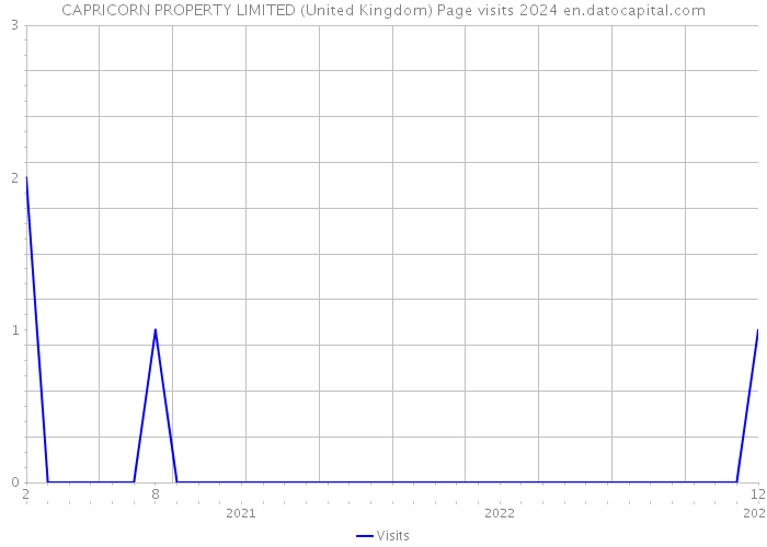 CAPRICORN PROPERTY LIMITED (United Kingdom) Page visits 2024 