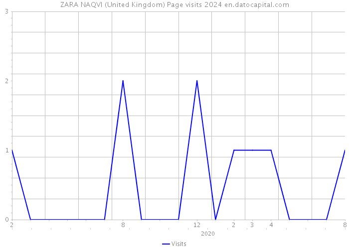 ZARA NAQVI (United Kingdom) Page visits 2024 
