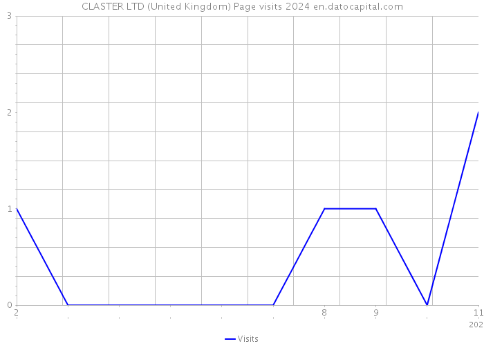 CLASTER LTD (United Kingdom) Page visits 2024 