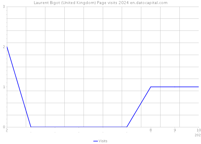 Laurent Bigot (United Kingdom) Page visits 2024 