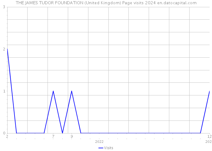 THE JAMES TUDOR FOUNDATION (United Kingdom) Page visits 2024 