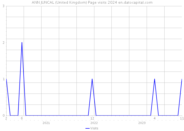 ANN JUNCAL (United Kingdom) Page visits 2024 