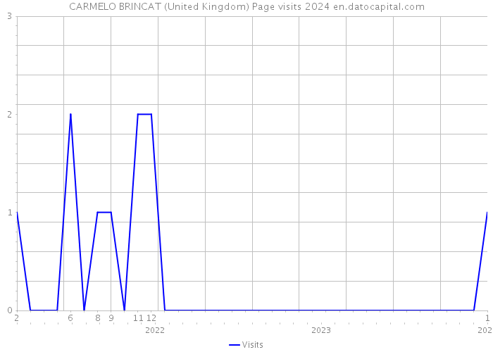 CARMELO BRINCAT (United Kingdom) Page visits 2024 