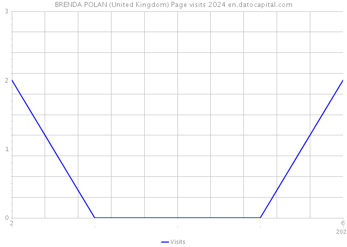 BRENDA POLAN (United Kingdom) Page visits 2024 