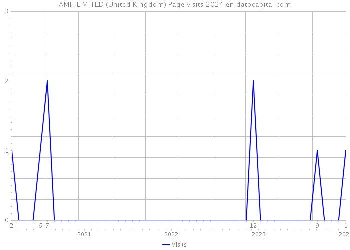 AMH LIMITED (United Kingdom) Page visits 2024 