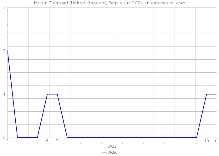 Hakim Tlemsani (United Kingdom) Page visits 2024 