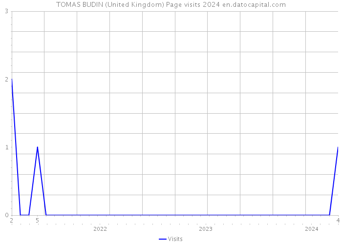 TOMAS BUDIN (United Kingdom) Page visits 2024 