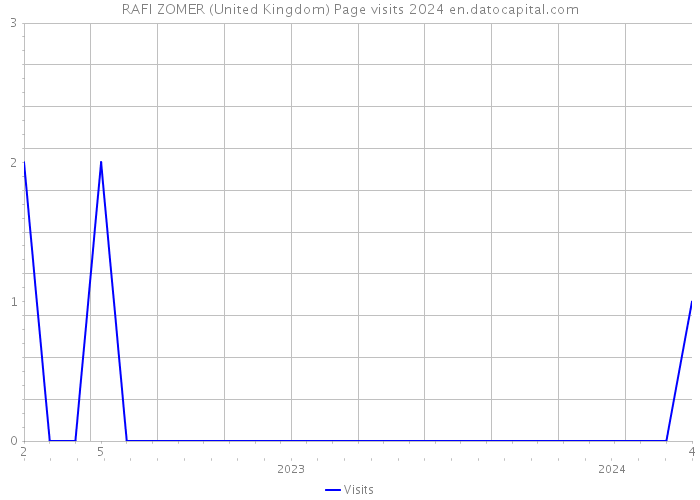 RAFI ZOMER (United Kingdom) Page visits 2024 
