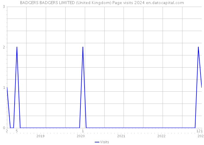 BADGERS BADGERS LIMITED (United Kingdom) Page visits 2024 