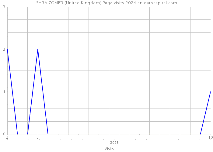 SARA ZOMER (United Kingdom) Page visits 2024 