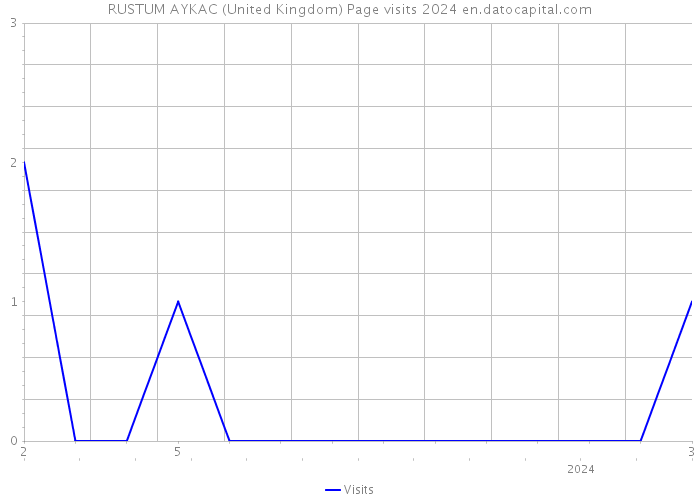 RUSTUM AYKAC (United Kingdom) Page visits 2024 