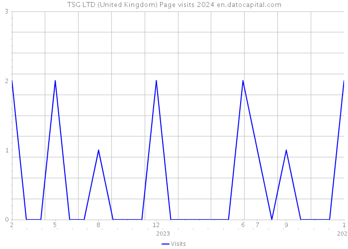 TSG LTD (United Kingdom) Page visits 2024 