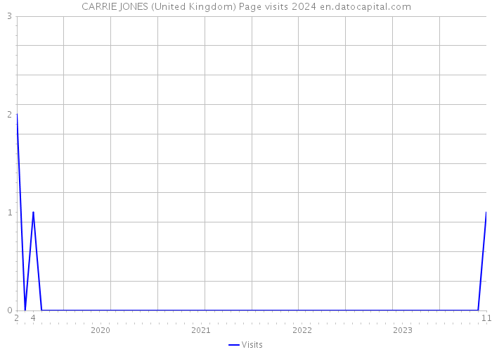 CARRIE JONES (United Kingdom) Page visits 2024 