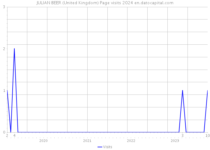 JULIAN BEER (United Kingdom) Page visits 2024 
