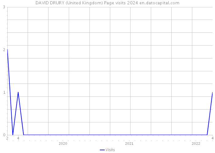 DAVID DRURY (United Kingdom) Page visits 2024 