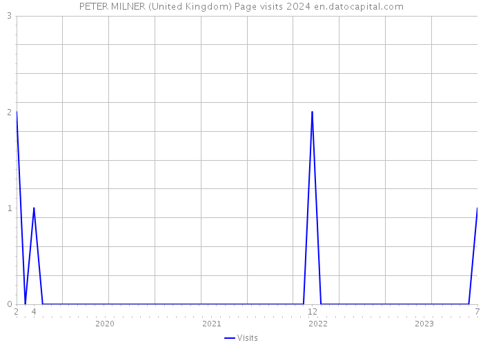 PETER MILNER (United Kingdom) Page visits 2024 