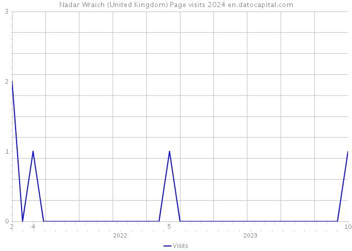 Nadar Wraich (United Kingdom) Page visits 2024 