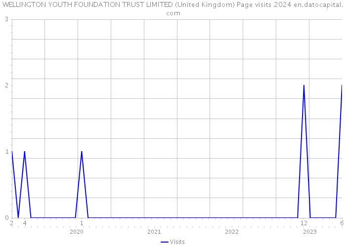 WELLINGTON YOUTH FOUNDATION TRUST LIMITED (United Kingdom) Page visits 2024 