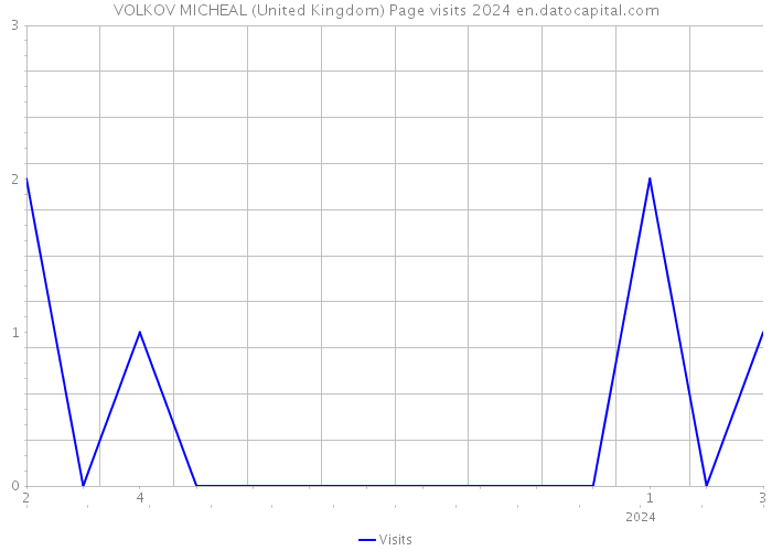 VOLKOV MICHEAL (United Kingdom) Page visits 2024 