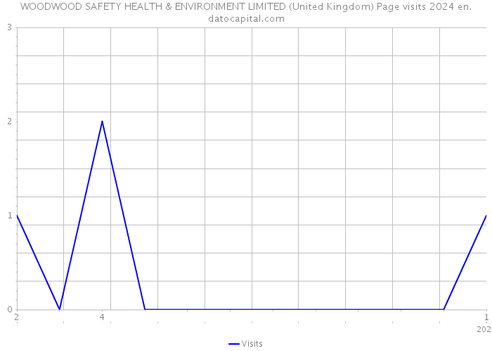 WOODWOOD SAFETY HEALTH & ENVIRONMENT LIMITED (United Kingdom) Page visits 2024 