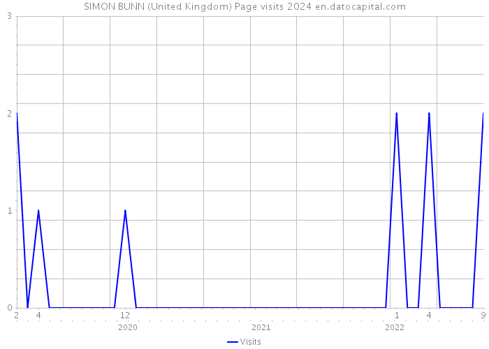 SIMON BUNN (United Kingdom) Page visits 2024 