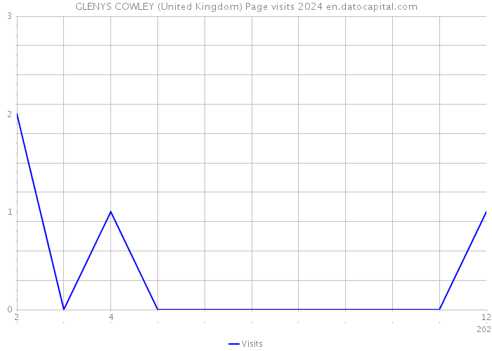 GLENYS COWLEY (United Kingdom) Page visits 2024 