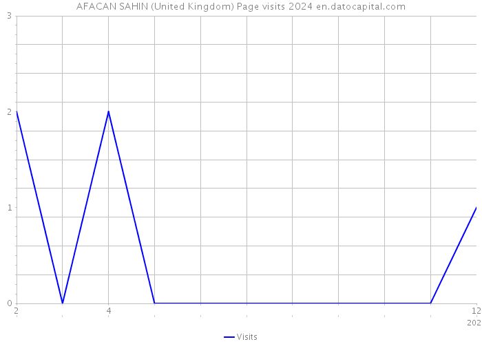 AFACAN SAHIN (United Kingdom) Page visits 2024 