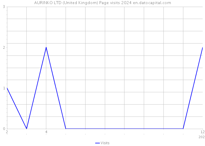 AURINKO LTD (United Kingdom) Page visits 2024 