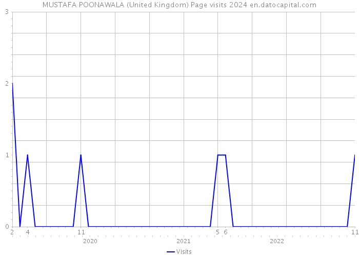MUSTAFA POONAWALA (United Kingdom) Page visits 2024 