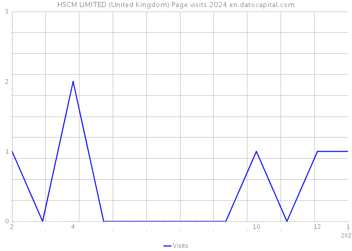 HSCM LIMITED (United Kingdom) Page visits 2024 