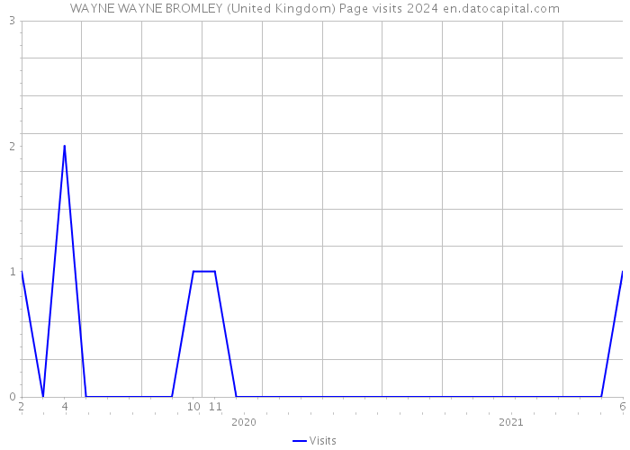 WAYNE WAYNE BROMLEY (United Kingdom) Page visits 2024 
