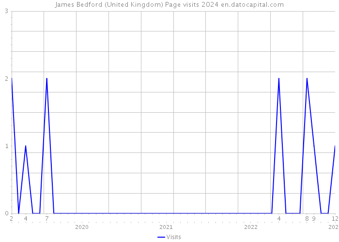 James Bedford (United Kingdom) Page visits 2024 