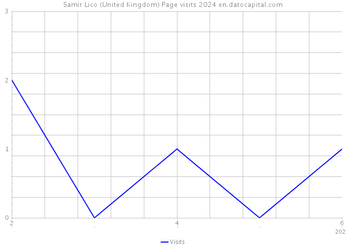 Samir Lico (United Kingdom) Page visits 2024 