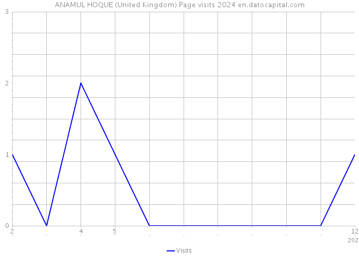 ANAMUL HOQUE (United Kingdom) Page visits 2024 
