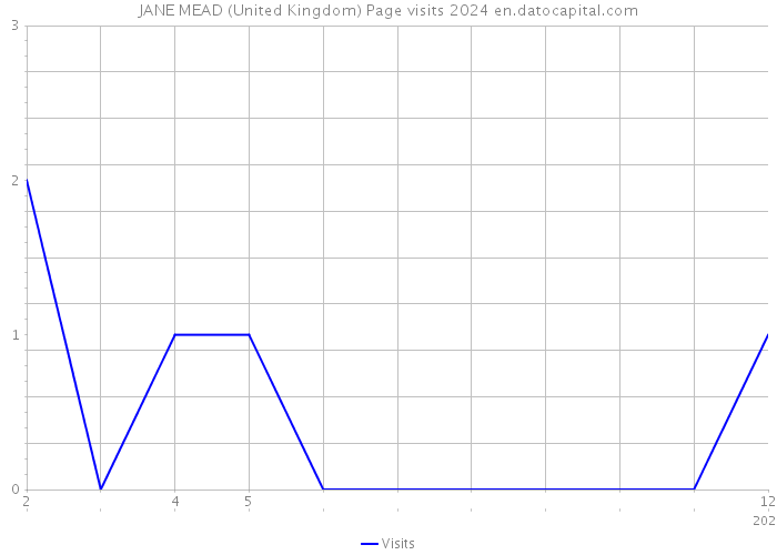 JANE MEAD (United Kingdom) Page visits 2024 