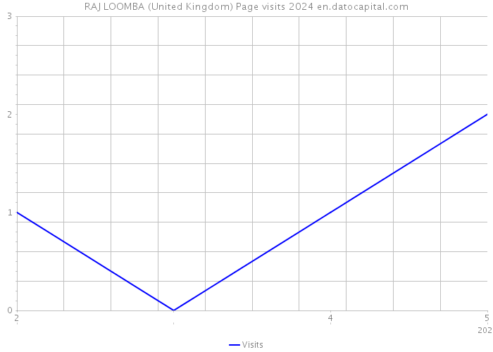 RAJ LOOMBA (United Kingdom) Page visits 2024 