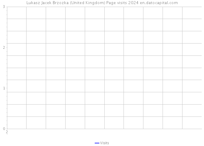 Lukasz Jacek Brzozka (United Kingdom) Page visits 2024 