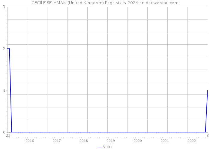 CECILE BELAMAN (United Kingdom) Page visits 2024 