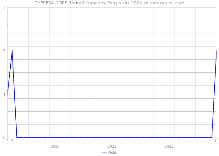 THERESA GORE (United Kingdom) Page visits 2024 