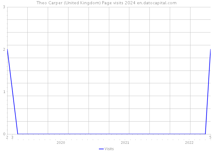 Theo Carper (United Kingdom) Page visits 2024 