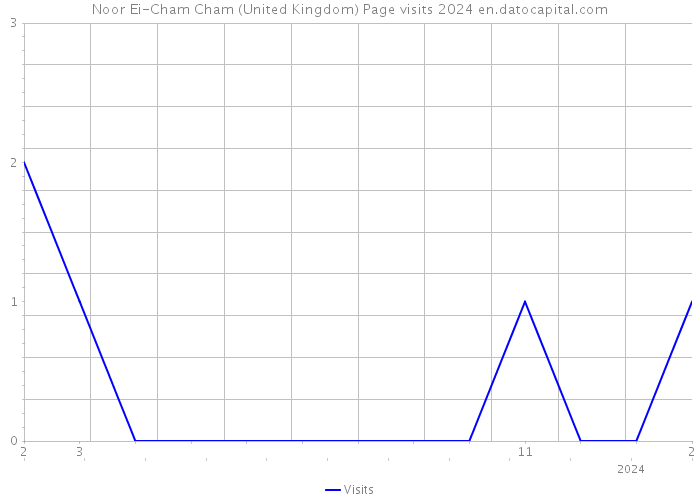 Noor Ei-Cham Cham (United Kingdom) Page visits 2024 